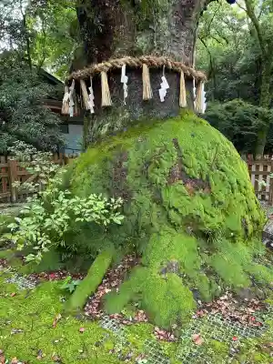 熱田神宮(愛知県)