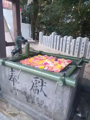 高尾神社(広島県)