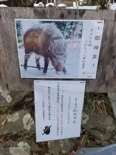 坪沼八幡神社(宮城県)