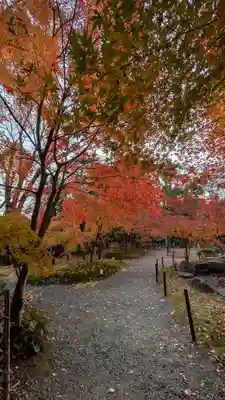 長岡天満宮(京都府)