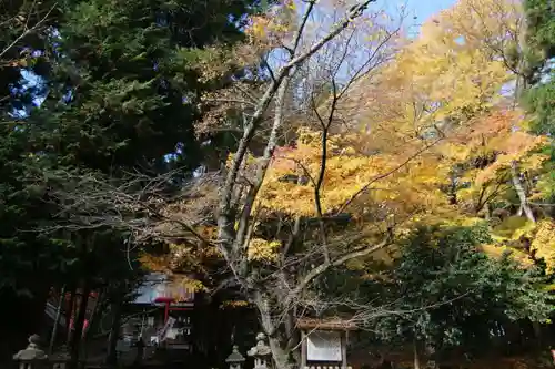 磐椅神社の景色