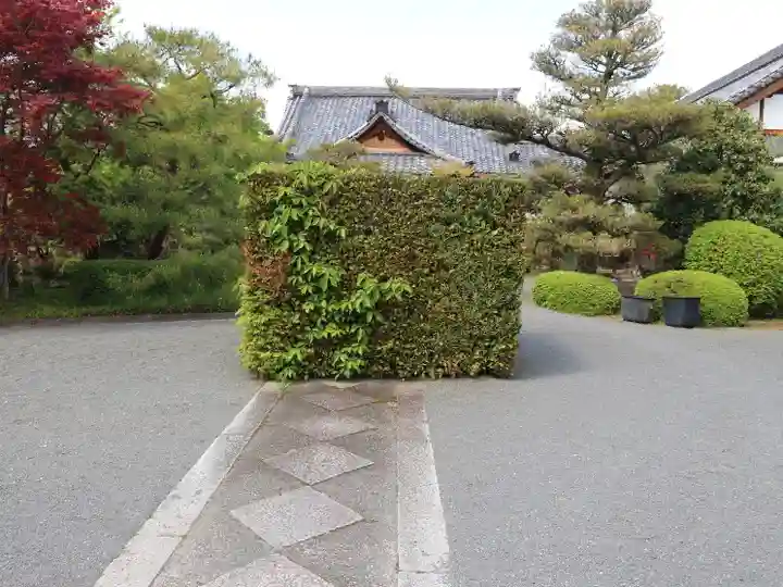 神光院(京都府)