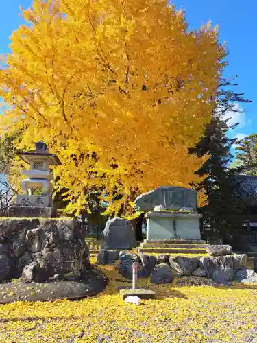 大御和神社(徳島県)