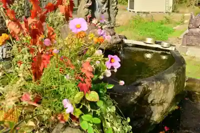 妙龍神社(新潟県)