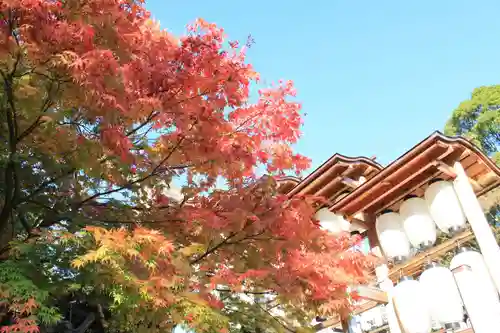 伊勢山皇大神宮の自然