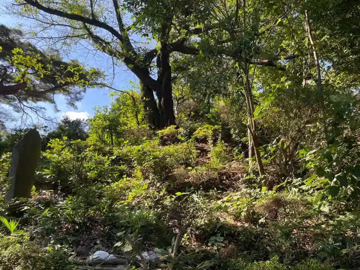 武州白子熊野神社(埼玉県)