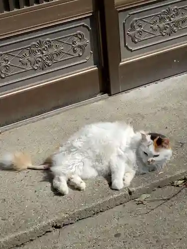 阿邪訶根神社(福島県)