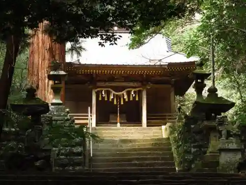 八幡宮來宮神社の本殿・本堂