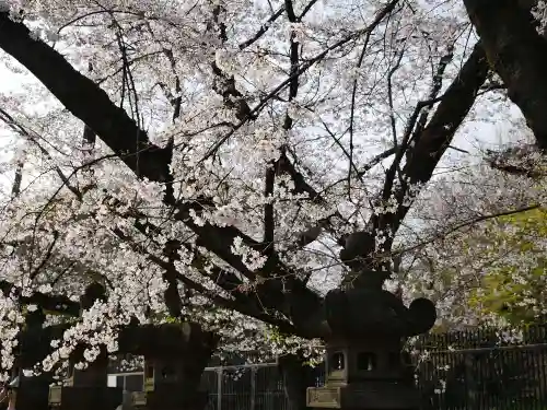 上野東照宮の自然