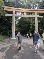 明治神宮(東京都)