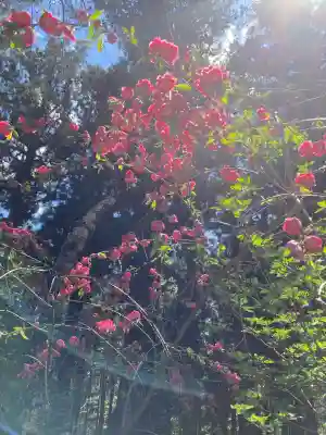 新海三社神社(長野県)