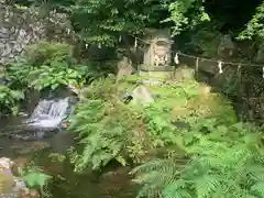 泉神社の自然