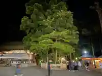大神神社の自然