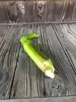 木舟山 順教寺(広島県)