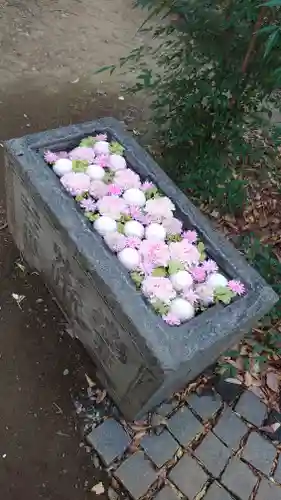 行田八幡神社の手水