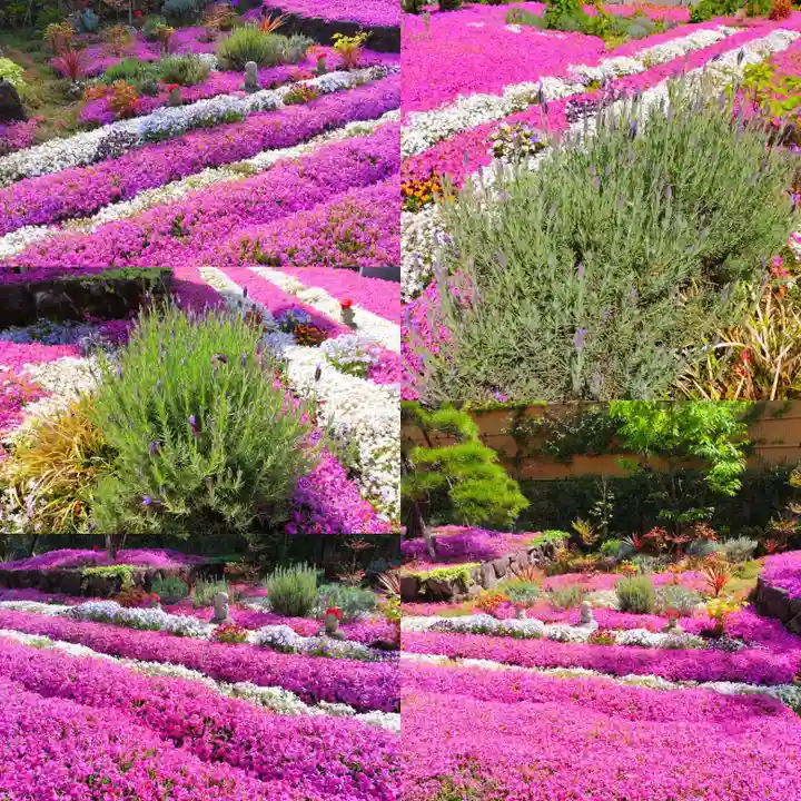 寿量山 速成寺(奈良県)