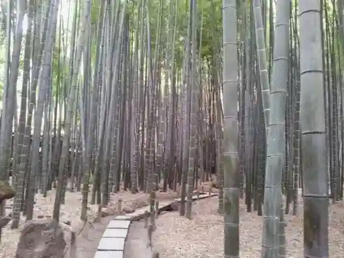 報国寺のその他建物