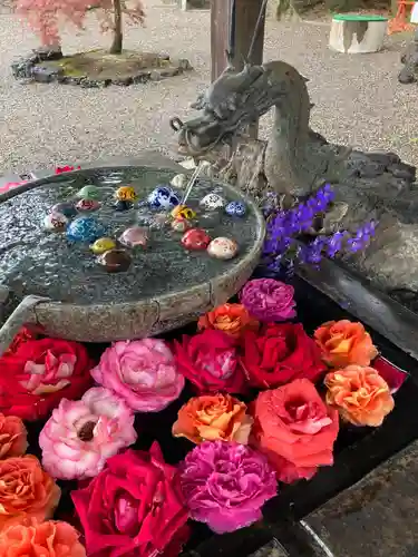 玉村八幡宮の手水舎