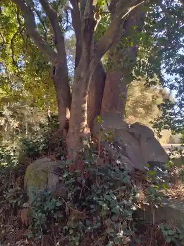 愛宕神社（渕ノ上）(宮城県)