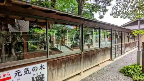 鎮守氷川神社のその他建物