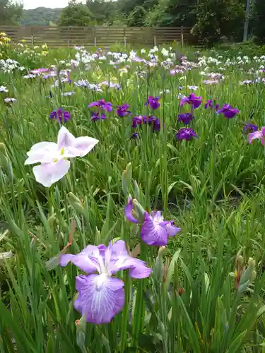 小國神社の自然