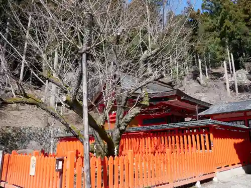 金櫻神社のその他建物
