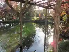 富士山本宮浅間大社の庭園