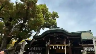 石切劔箭神社の{uncategorized: "未分類", other: "その他", undefined: "問題あり", building: "その他建物", grave: "お墓", sacred_gate: "鳥居", guardian: "狛犬", statue: "像", buddha: "仏像", history: "歴史", nature: "自然", garden: "庭園", animal: "動物", pagoda: "塔", temizu: "手水舎", mountain_gate: "山門・神門", sanctuary: "本殿・本堂", subordinate: "末社・摂社", art: "芸術", scenery: "景色", jizo: "地蔵", ema: "絵馬", goshuin: "御朱印", omikuji: "おみくじ", items: "授与品その他", amulet: "お守り", goshuincho: "御朱印帳", eats: "食事", festival: "お祭り", votive_dance: "神楽", shichigosan: "七五三参", wedding: "結婚式", experience: "体験その他", initially: "初詣", around: "周辺", anti_infection: "感染症対策"}