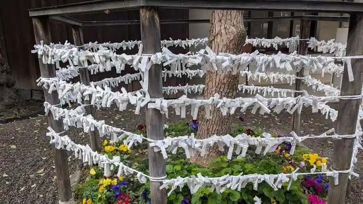 藤次寺のおみくじ