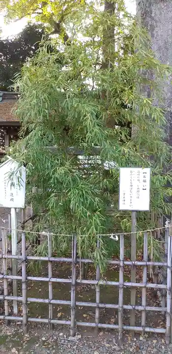 一言主神社の自然