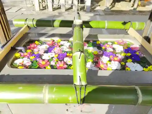 深川神明宮(東京都)