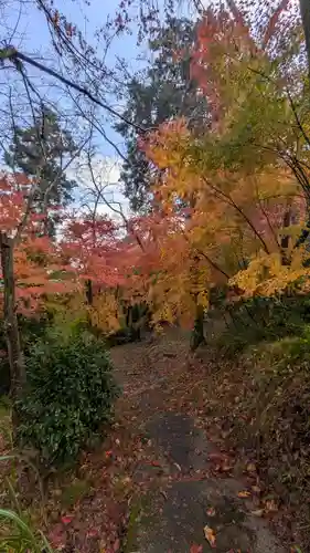 若山神社(大阪府)