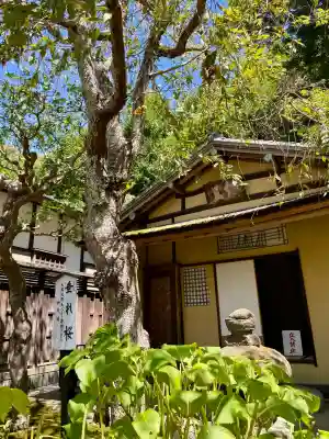 佛日庵(神奈川県)