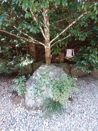 天河大辨財天社の{uncategorized: "未分類", other: "その他", undefined: "問題あり", building: "その他建物", grave: "お墓", sacred_gate: "鳥居", guardian: "狛犬", statue: "像", buddha: "仏像", history: "歴史", nature: "自然", garden: "庭園", animal: "動物", pagoda: "塔", temizu: "手水舎", mountain_gate: "山門・神門", sanctuary: "本殿・本堂", subordinate: "末社・摂社", art: "芸術", scenery: "景色", jizo: "地蔵", ema: "絵馬", goshuin: "御朱印", omikuji: "おみくじ", items: "授与品その他", amulet: "お守り", goshuincho: "御朱印帳", eats: "食事", festival: "お祭り", votive_dance: "神楽", shichigosan: "七五三参", wedding: "結婚式", experience: "体験その他", initially: "初詣", around: "周辺", anti_infection: "感染症対策"}