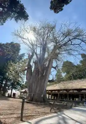 新宮熊野神社(福島県)