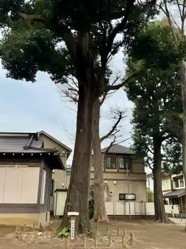 愛宕神社の{uncategorized: "未分類", other: "その他", undefined: "問題あり", building: "その他建物", grave: "お墓", sacred_gate: "鳥居", guardian: "狛犬", statue: "像", buddha: "仏像", history: "歴史", nature: "自然", garden: "庭園", animal: "動物", pagoda: "塔", temizu: "手水舎", mountain_gate: "山門・神門", sanctuary: "本殿・本堂", subordinate: "末社・摂社", art: "芸術", scenery: "景色", jizo: "地蔵", ema: "絵馬", goshuin: "御朱印", omikuji: "おみくじ", items: "授与品その他", amulet: "お守り", goshuincho: "御朱印帳", eats: "食事", festival: "お祭り", votive_dance: "神楽", shichigosan: "七五三参", wedding: "結婚式", experience: "体験その他", initially: "初詣", around: "周辺", anti_infection: "感染症対策"}
