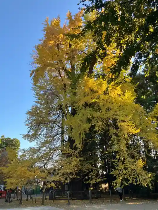 水戸八幡宮(茨城県)