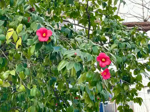 川口神社(埼玉県)