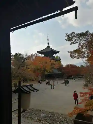 真正極楽寺（真如堂）の景色