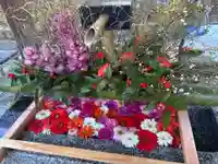 白山神社(新潟県)