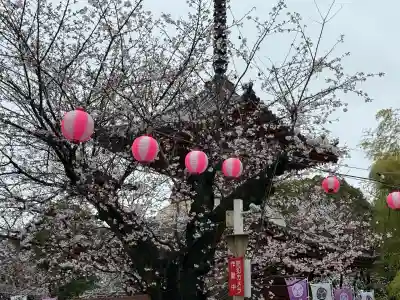 喜多院(埼玉県)