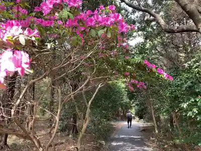 大瀬神社(静岡県)