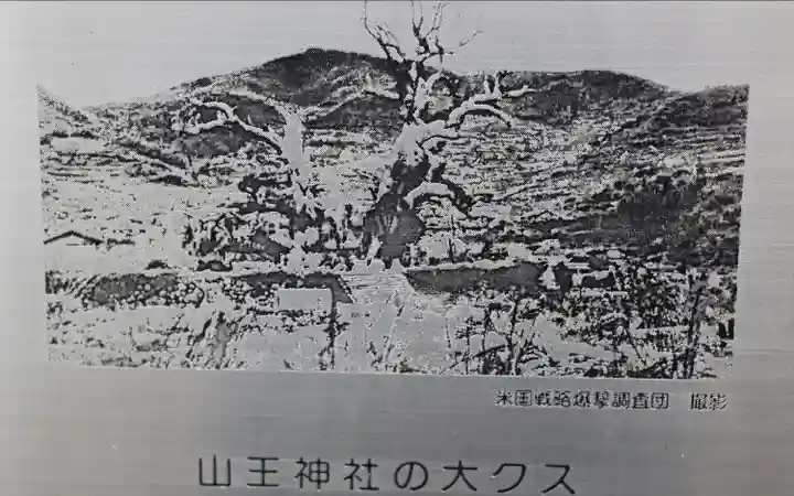 山王神社の自然