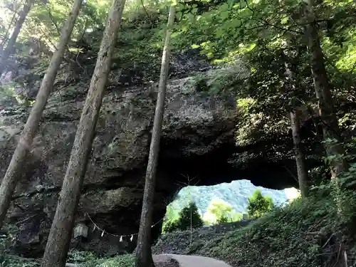上色見熊野座神社の自然