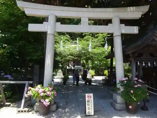 御霊神社の鳥居