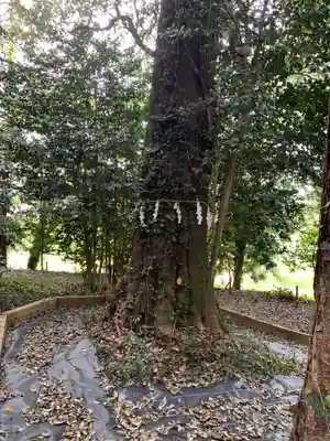 咲前神社(群馬県)