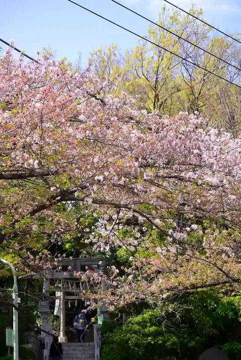 多摩川浅間神社の自然