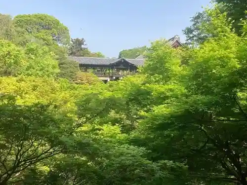 東福禅寺（東福寺）(京都府)