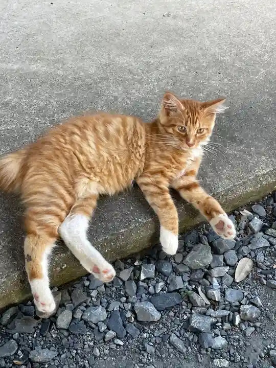 亀岡八幡宮(栃木県)