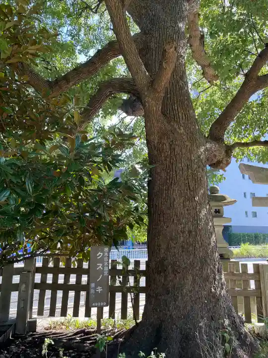 瀬戸神社(神奈川県)